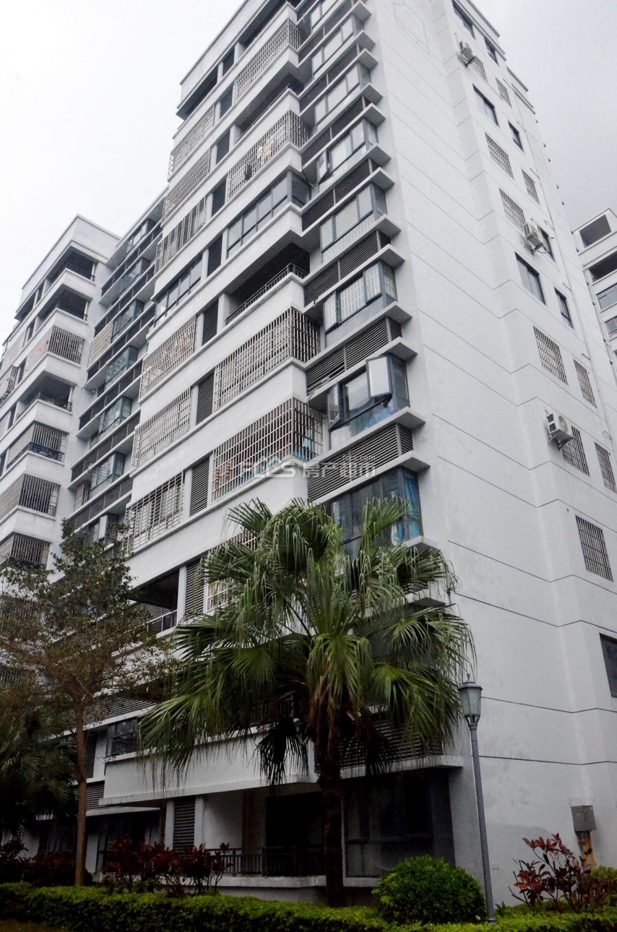 桐洋华府楼盘实景图1