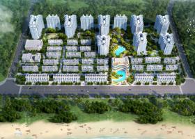 交投·海上明月