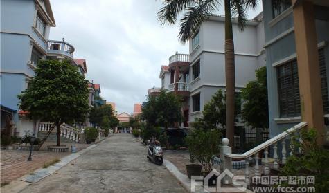 世纪花园封面图