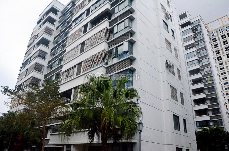 桐洋华府实景图