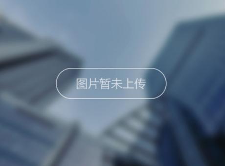 中电大都会的封面图